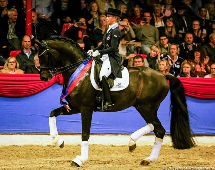 HW Farm proudly presents some information about Stallion For Romance